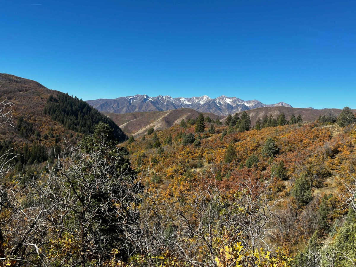 Right Fork Hobble Creek Road trail photo