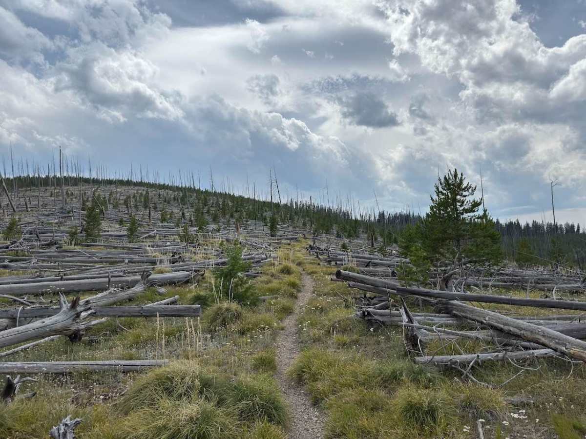 Andrews Creek Dirt Bike trail photo