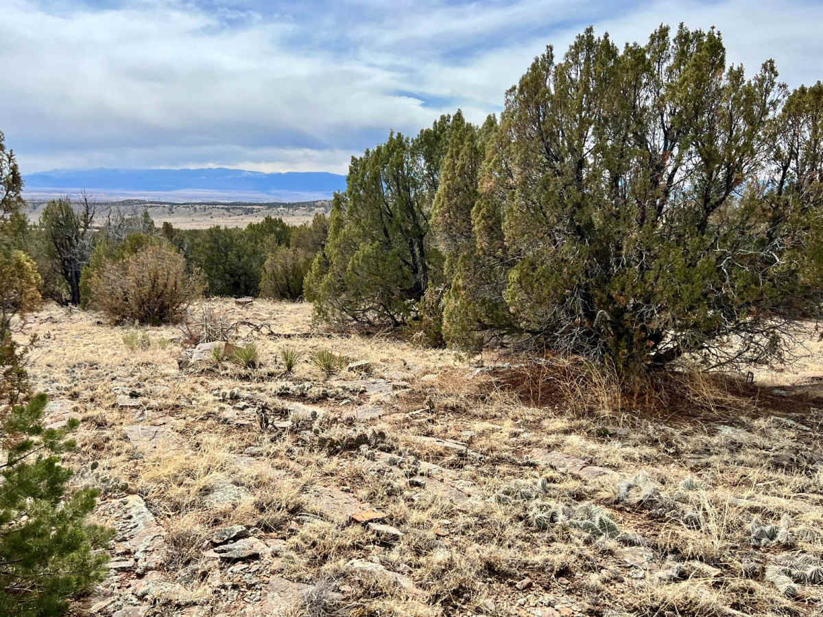Penrose Commons BLM#6102A trail photo