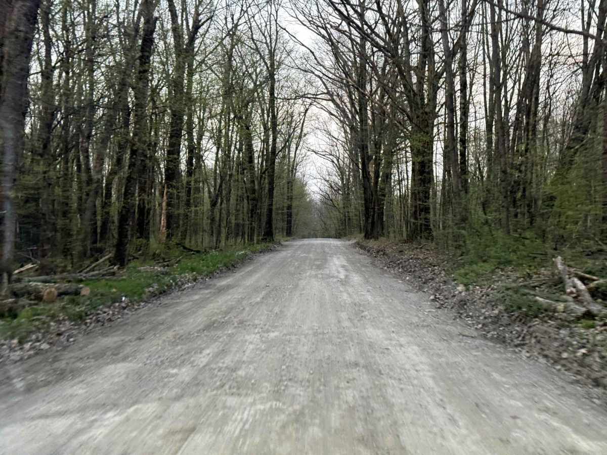 Brinton Road to Lyons Road photo 5