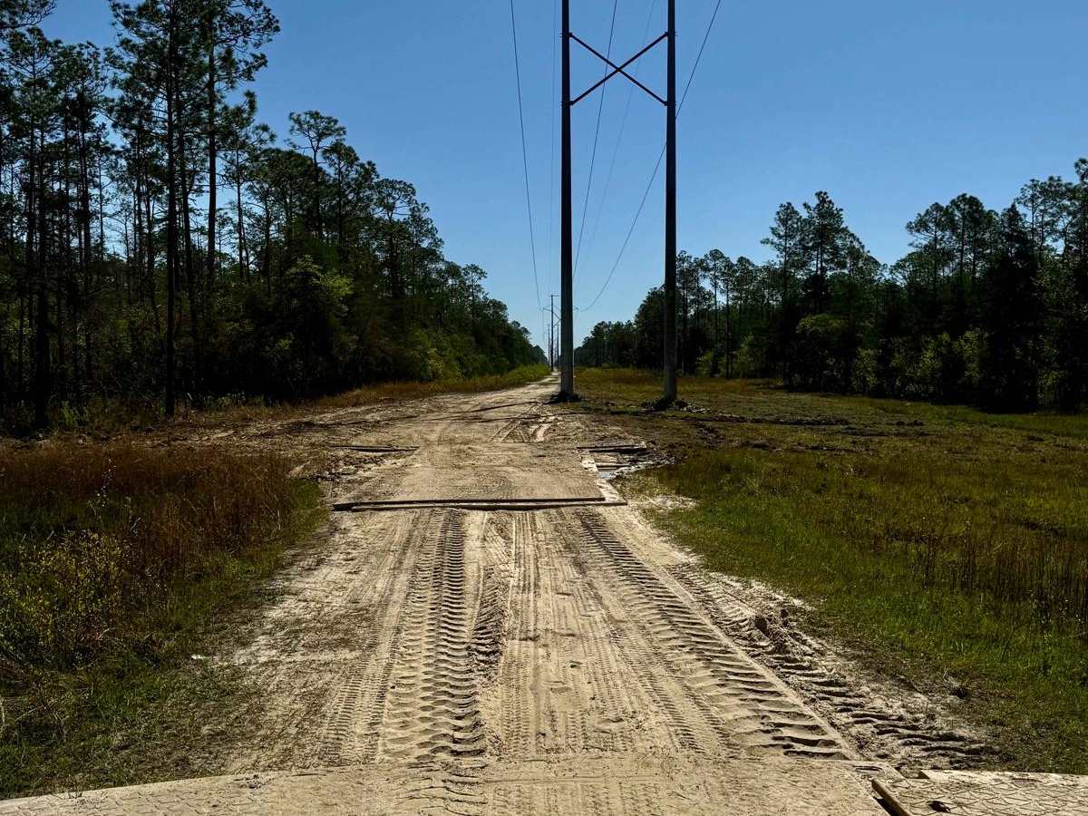 Bad Mud - FS 164 trail photo