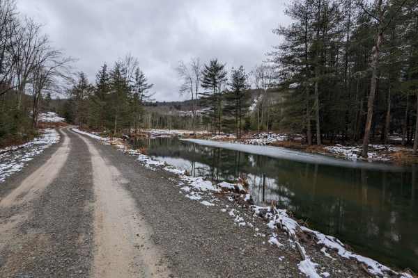 Bedbug Road to Million Dollar Highway South