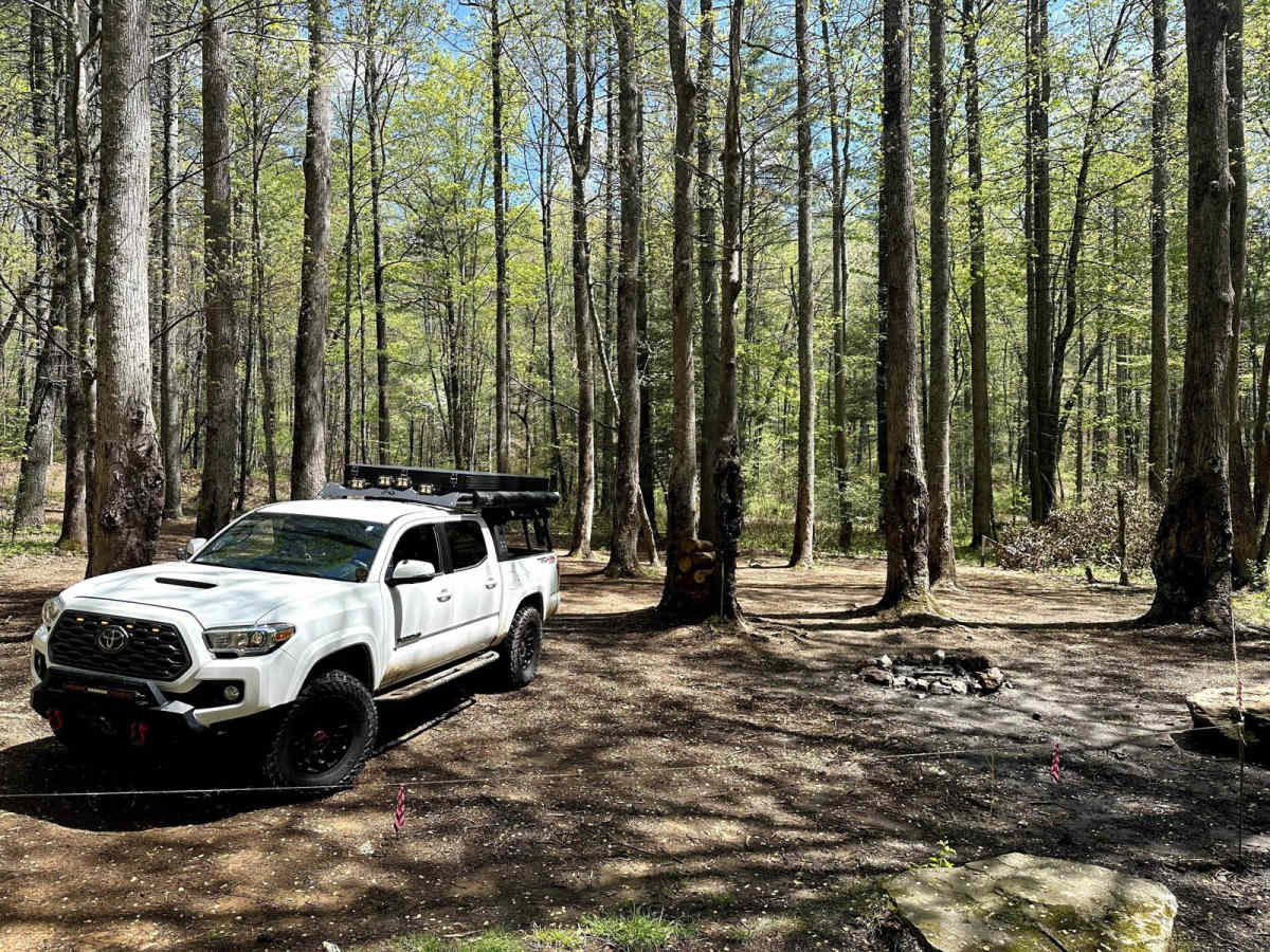Chattahoochee River Road photo 2