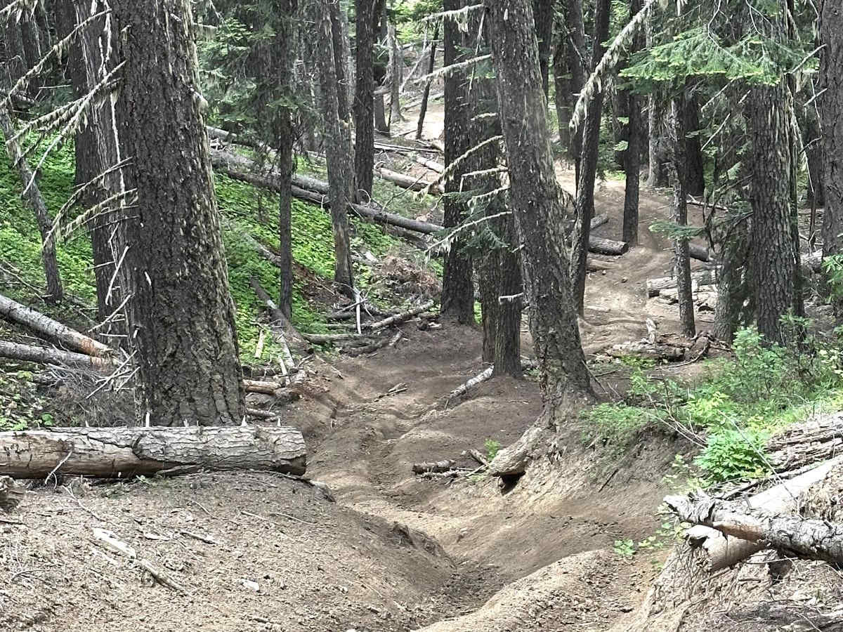 Upper Kaner Ridge Trail trail photo