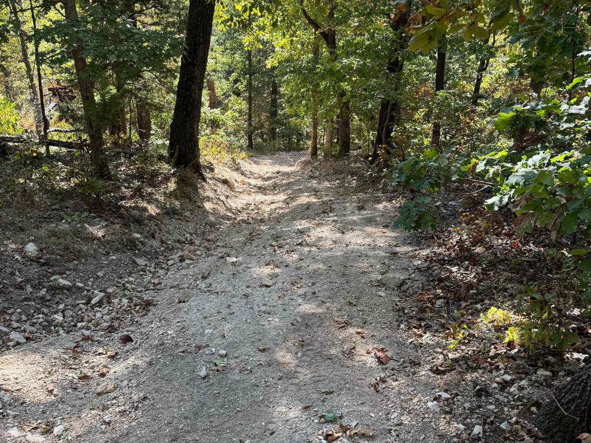 Yellow 20 trail photo