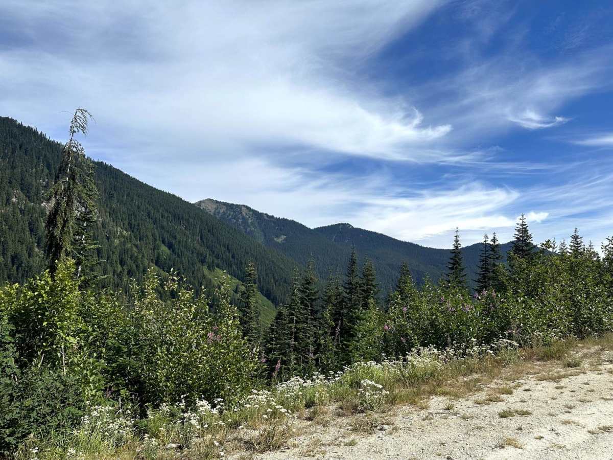 Rainy Creek Trail photo 6