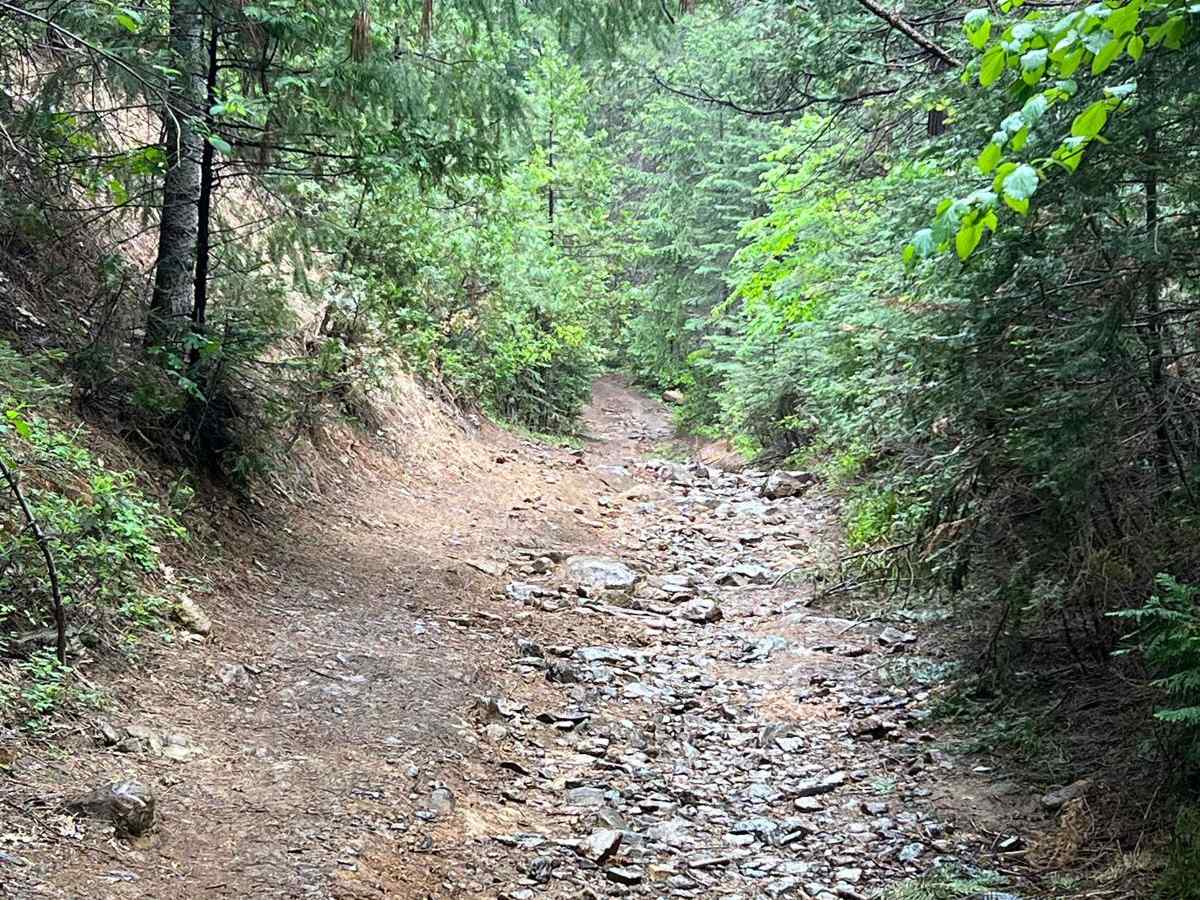 North Fork Crossing photo 2