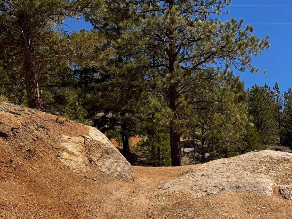 Metberry Gulch (FS 205) photo 6