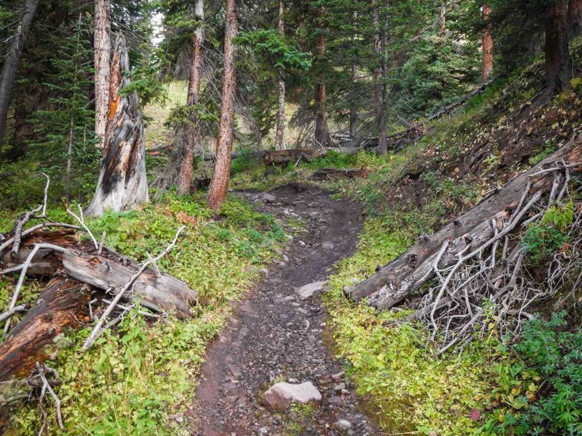 Hunters Creek Trail photo 5