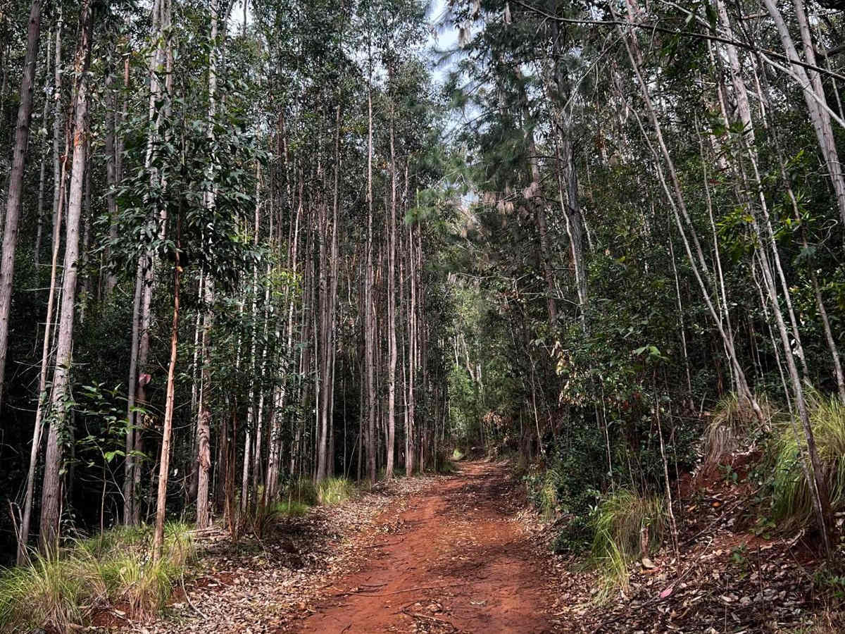 Kauhao Ridge Trail photo 4
