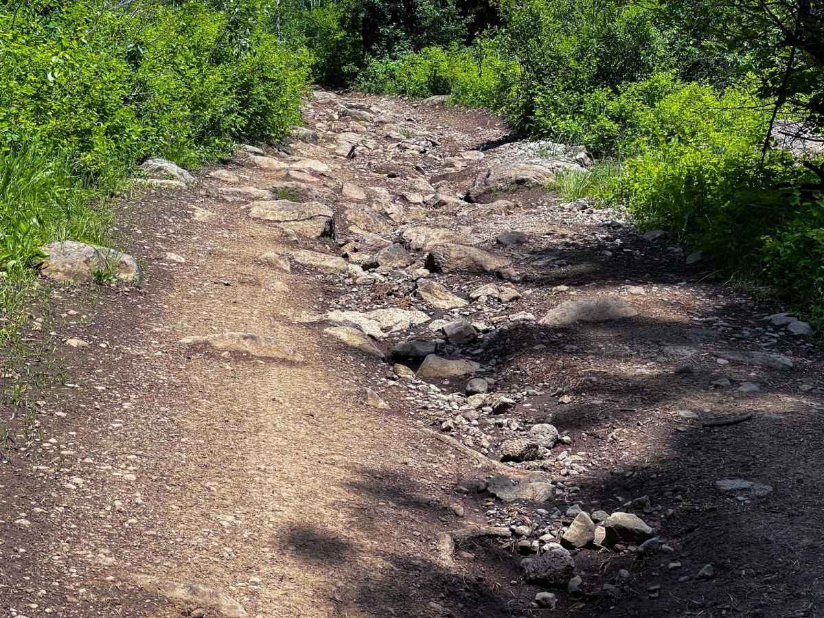 Sheep Falls photo 3