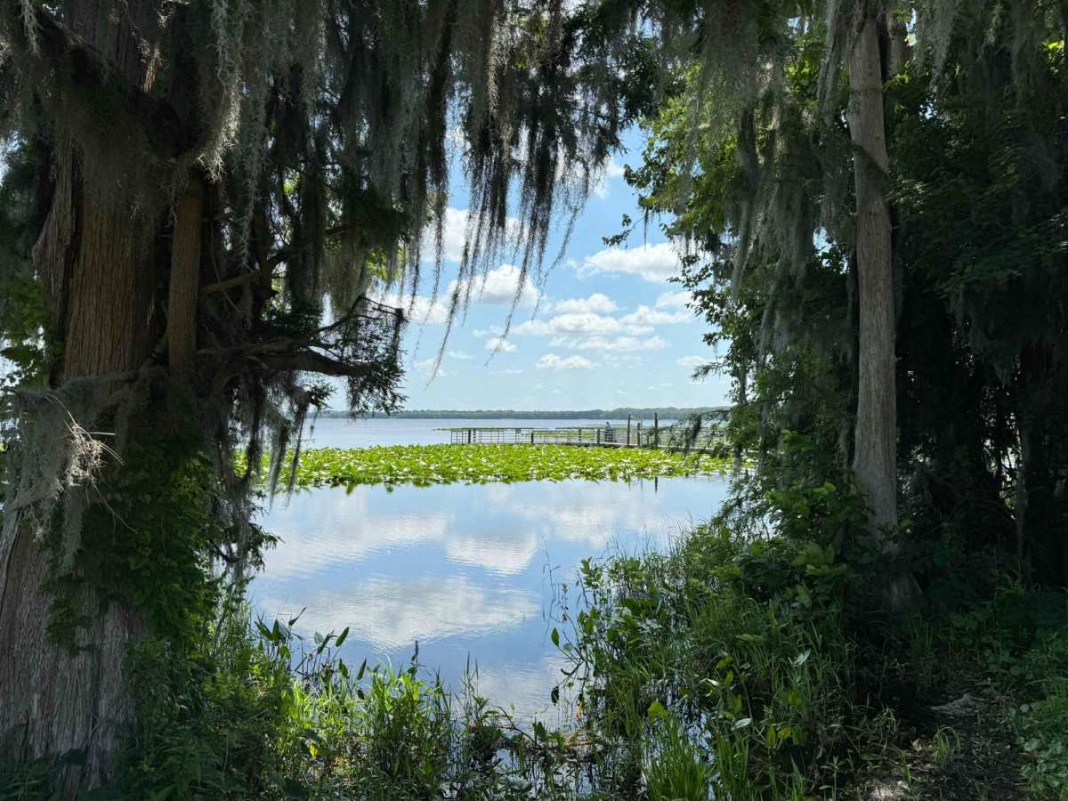 Burnt Island Trail trail photo