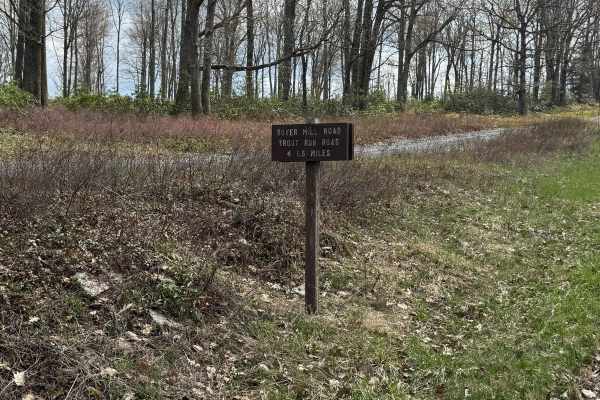 Boyer Mill Road