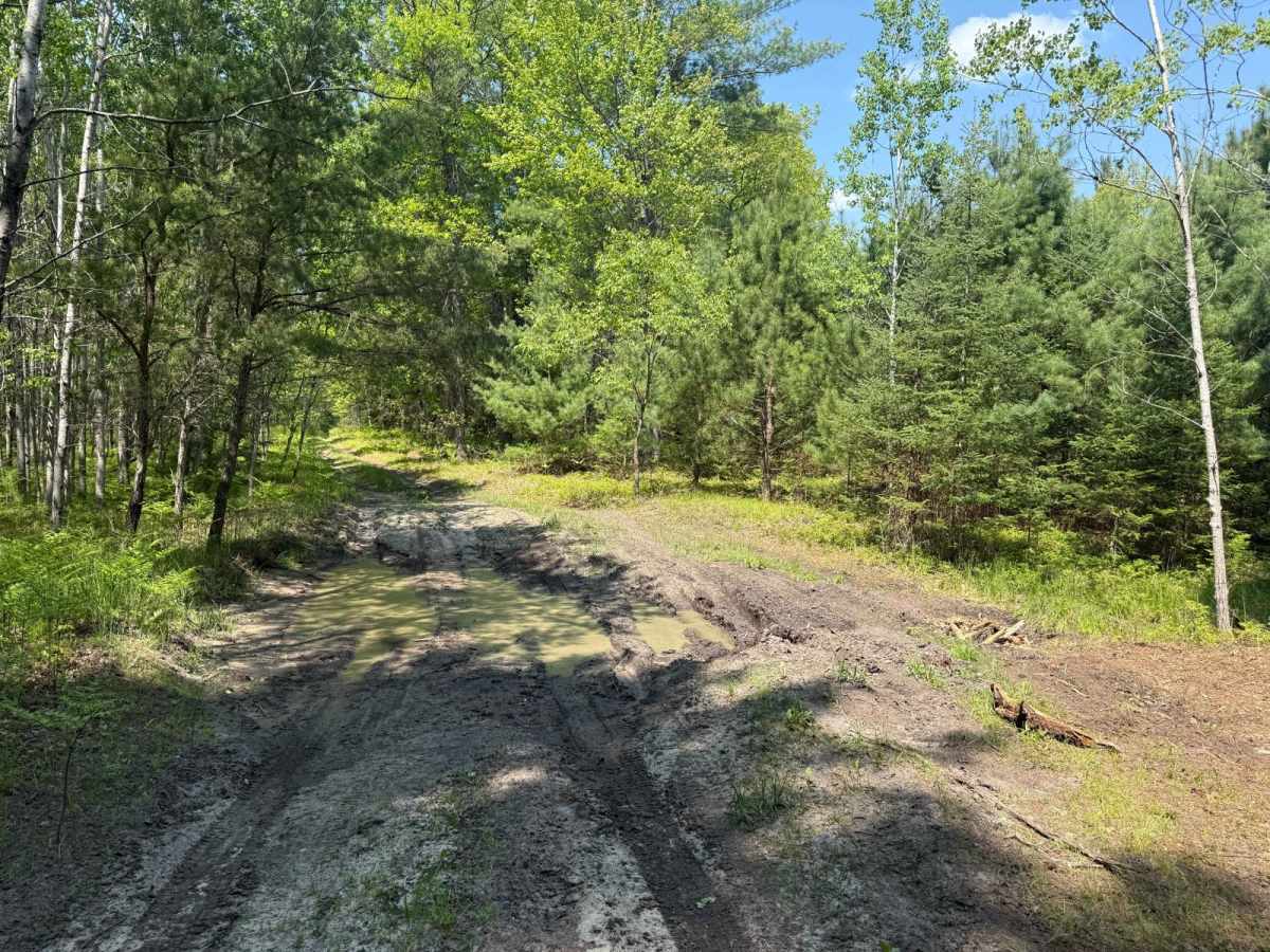 Fife Lake Trail trail photo