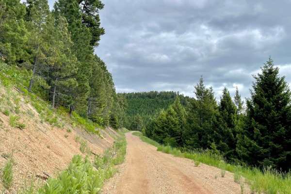 McCabe Creek