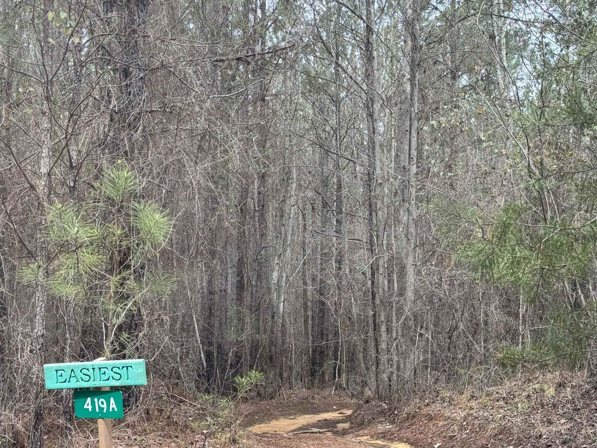 419A trail photo