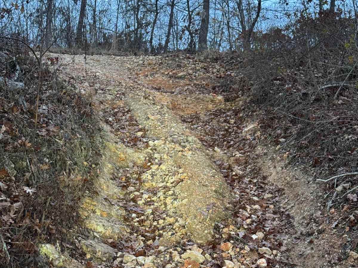 Copperhead 295 photo 3