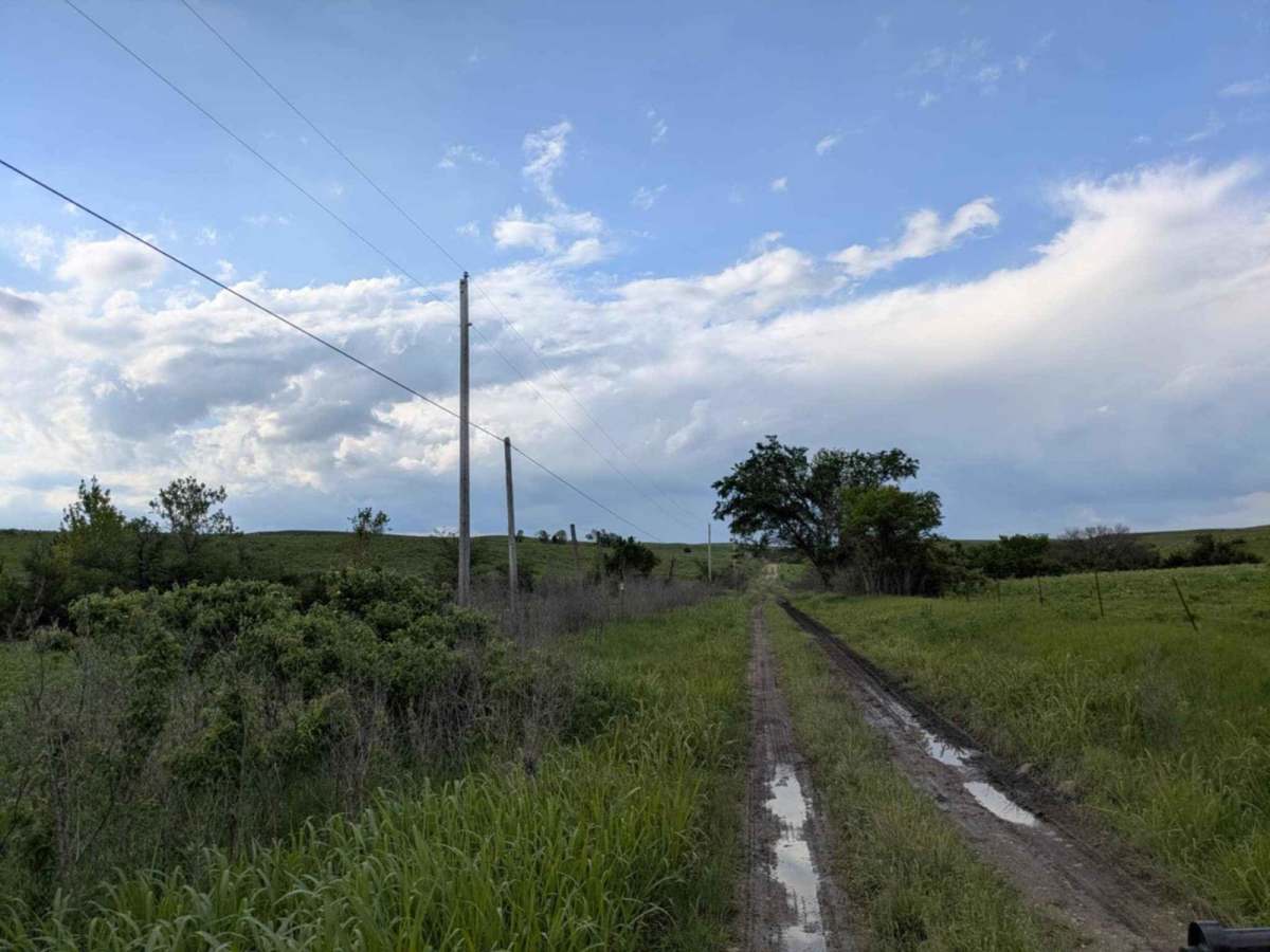Christy Road photo 3