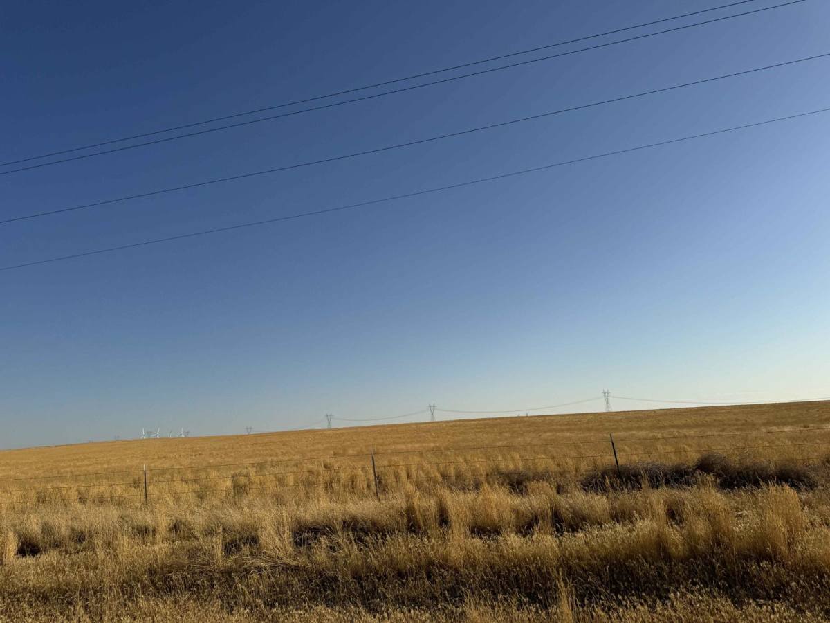 Jackalope Flats photo 4