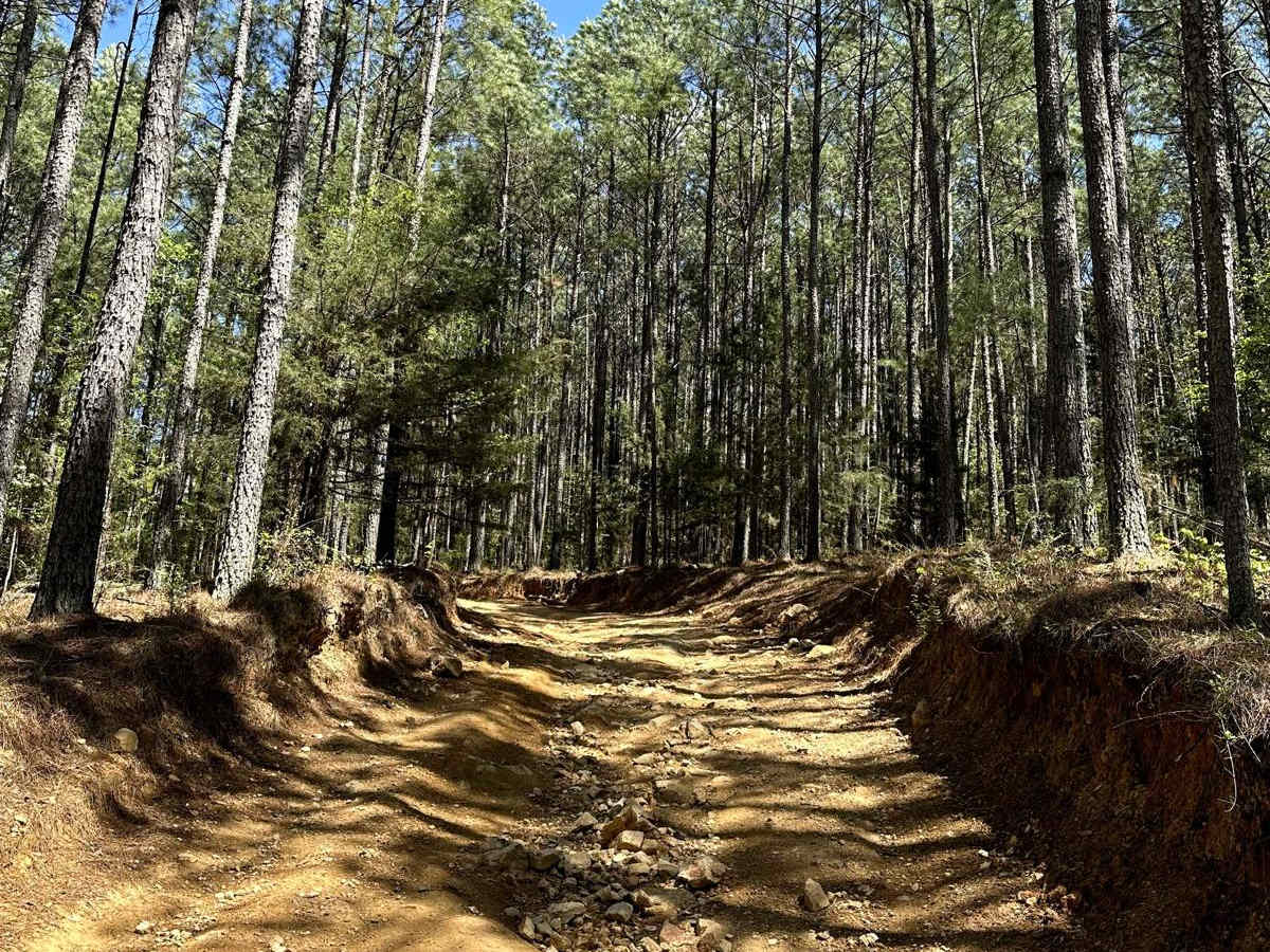 Trail 25 photo 4