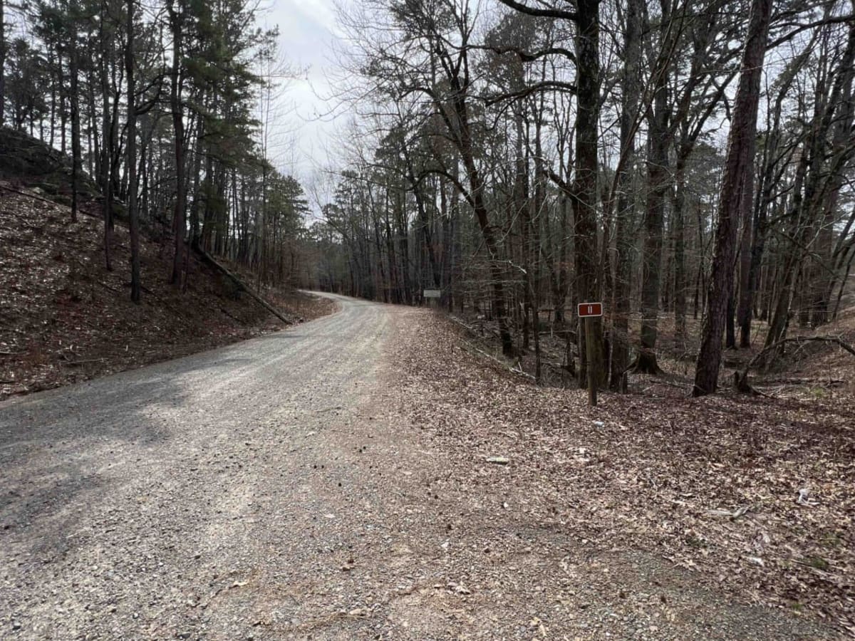 Gladstone Road 11 photo 5