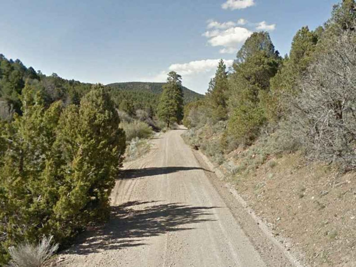 Grass Valley Rd-FR30011 photo 3
