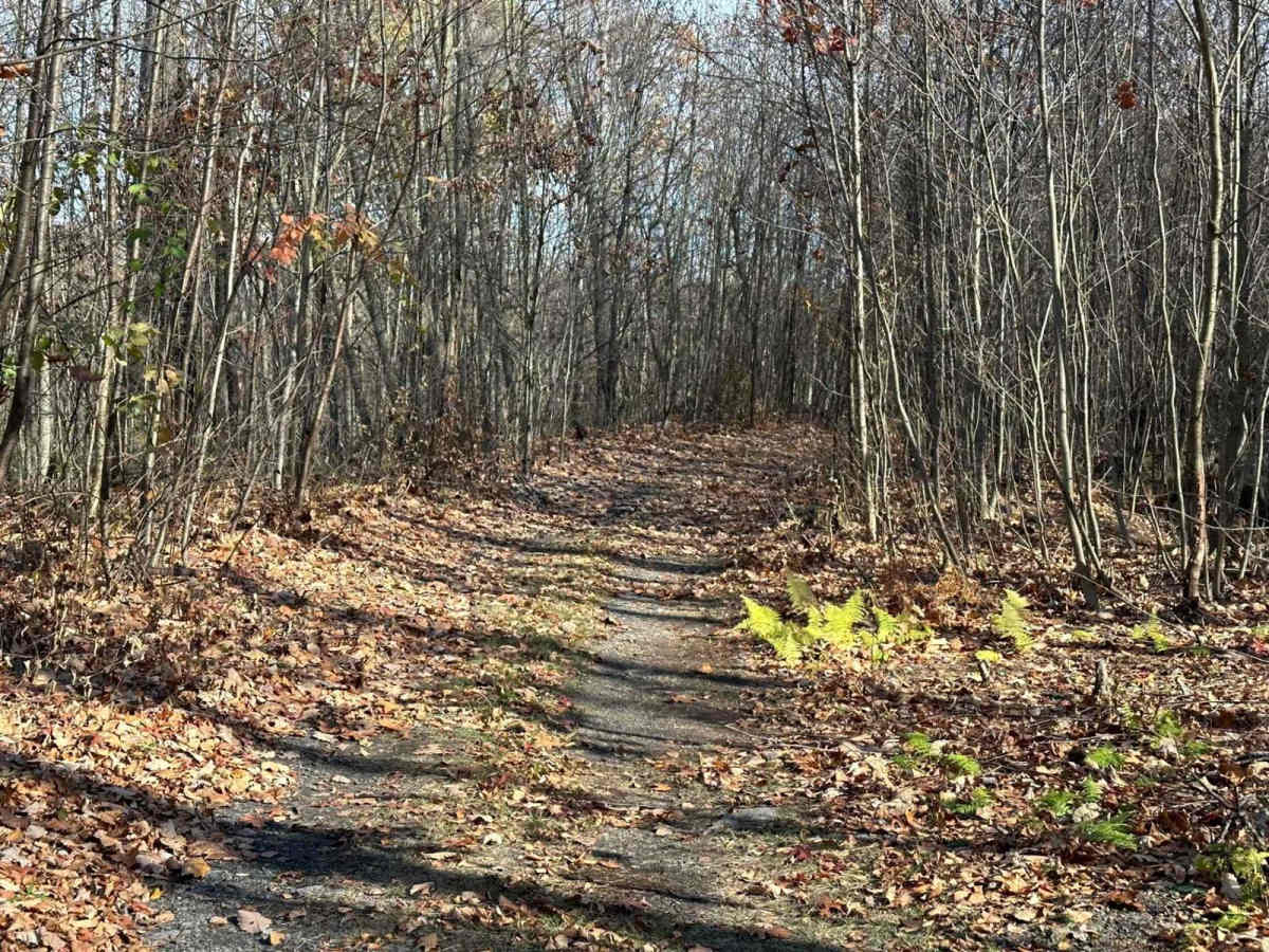 Ashland 161 photo 2