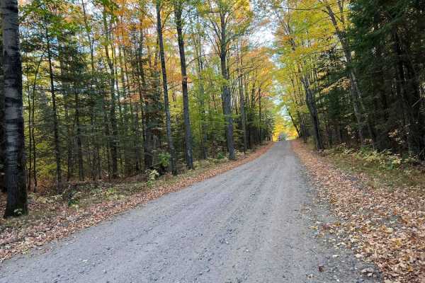 National Forest Road 1510