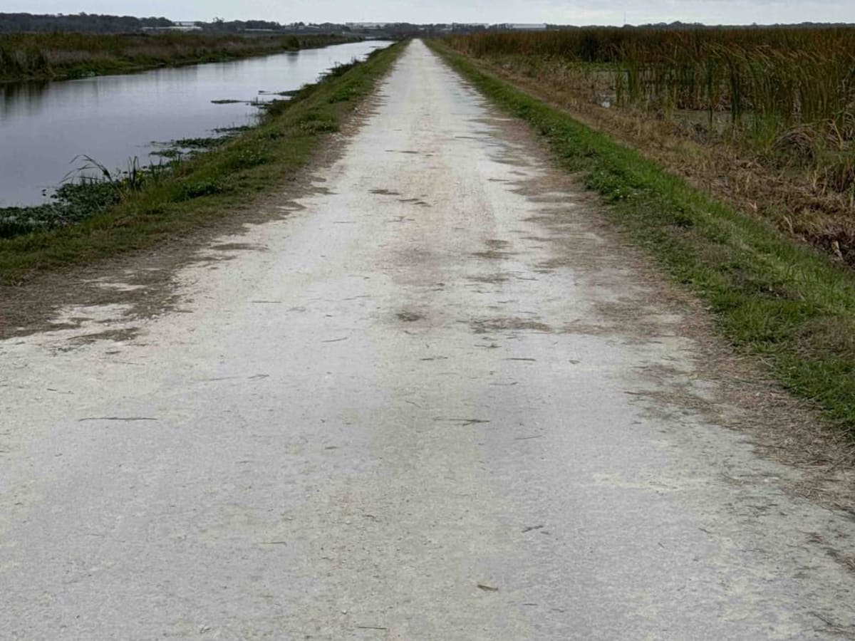 Welland & Roach Road photo 6