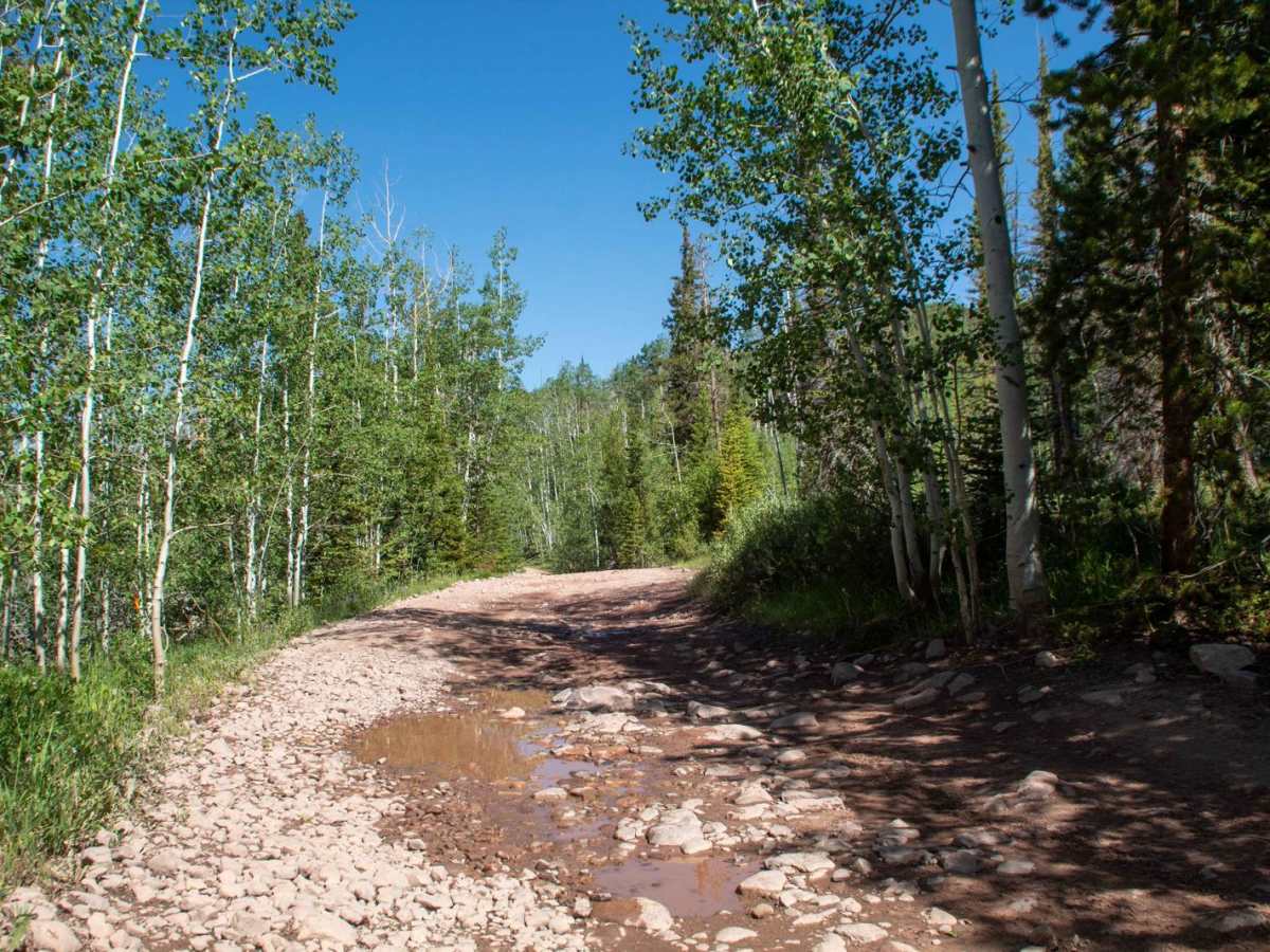 East Fork Bear River photo 3