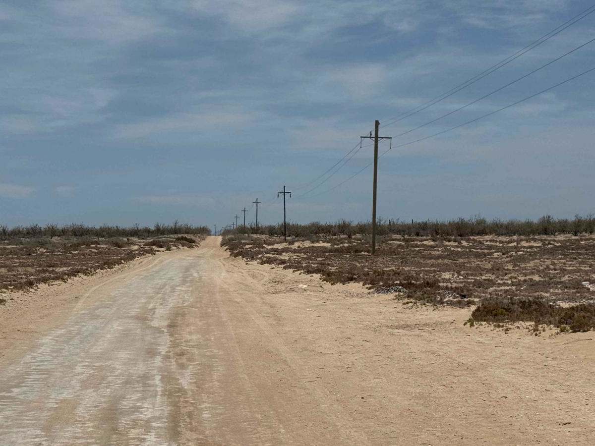 Powerline Road photo 3