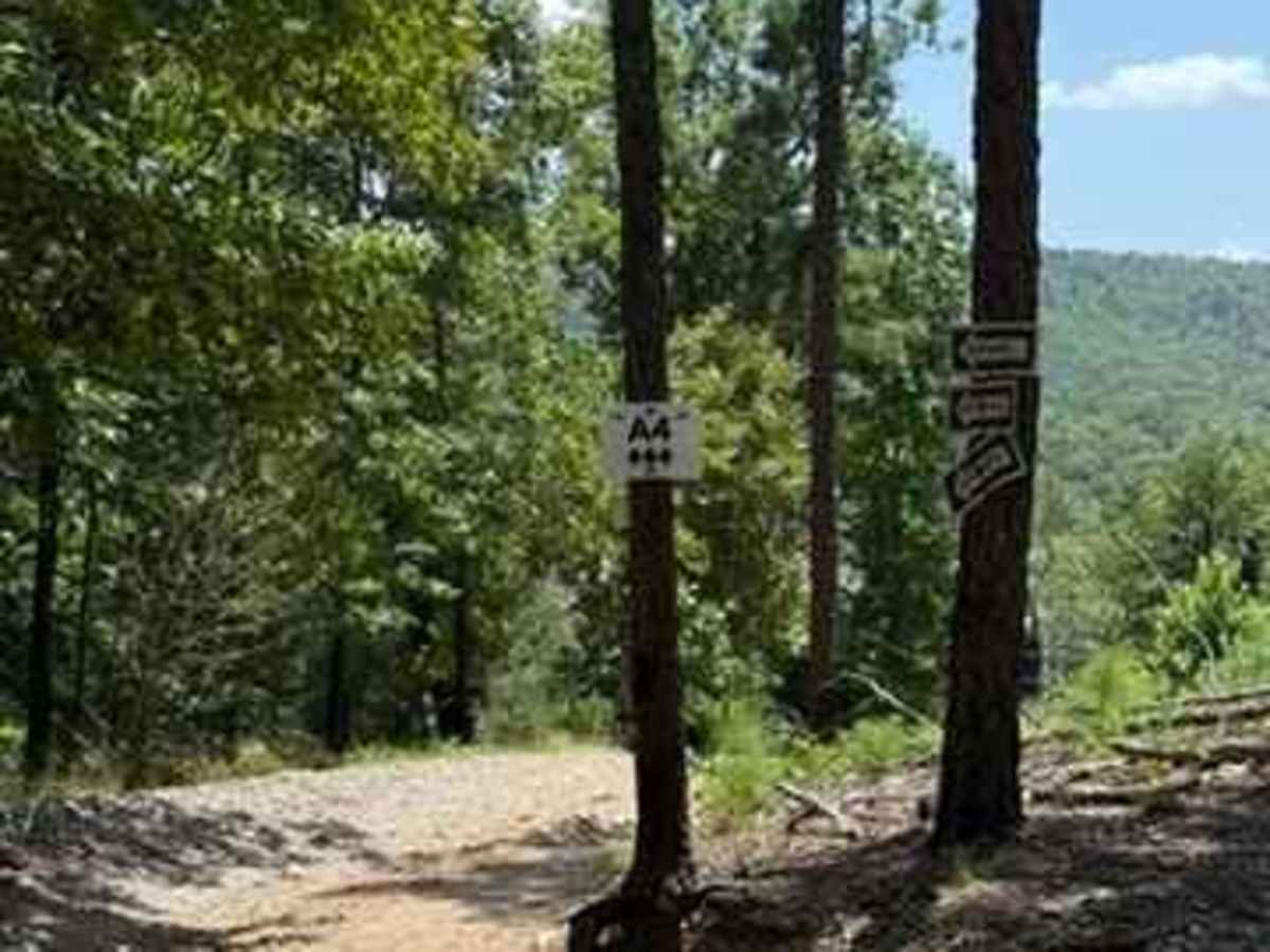 A4 trail photo