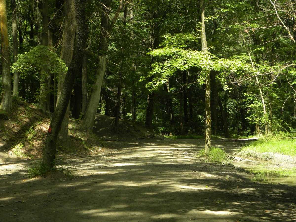 Trail 2D(easy) photo 3