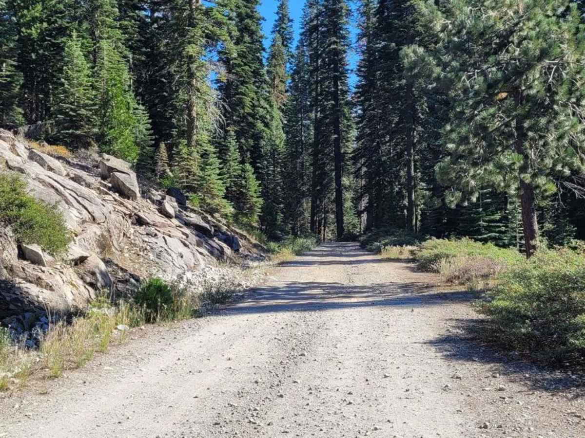Tanglefoot Canyon photo 6