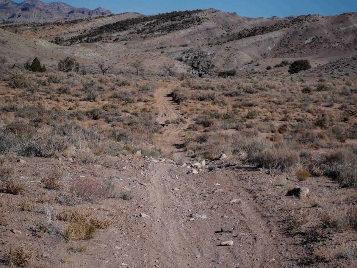 Summerville ATV photo 4