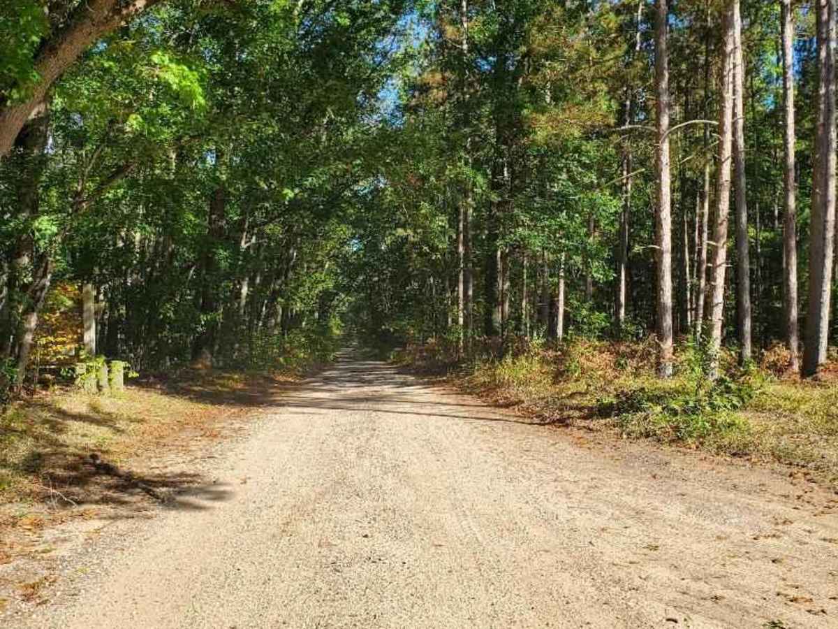 White River Special Area photo 2