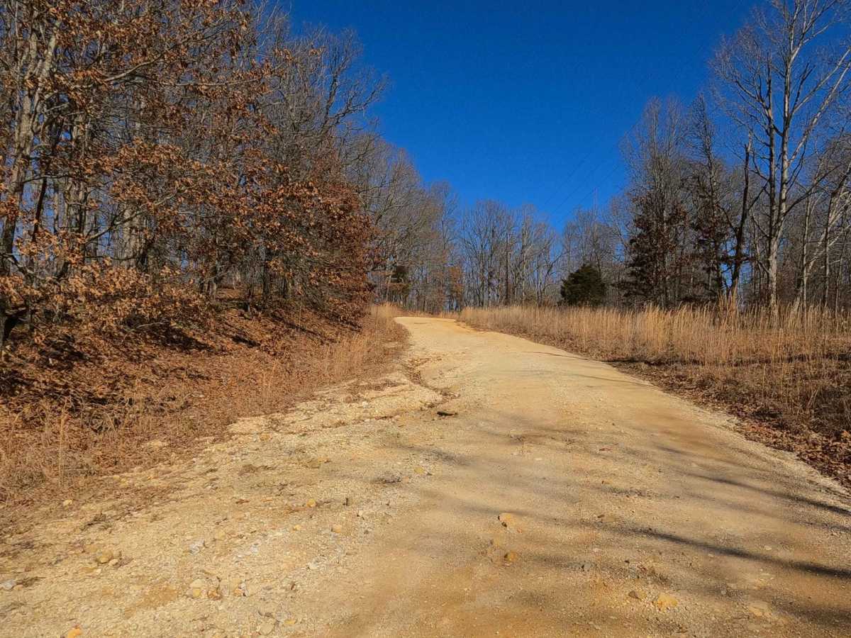 Racetrack Hollow Road - FS 131 photo 4