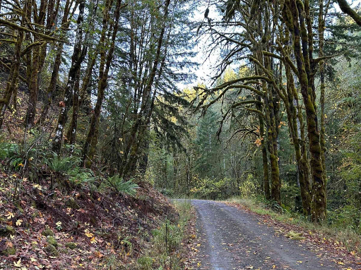 Butler Creek Mainline photo 5