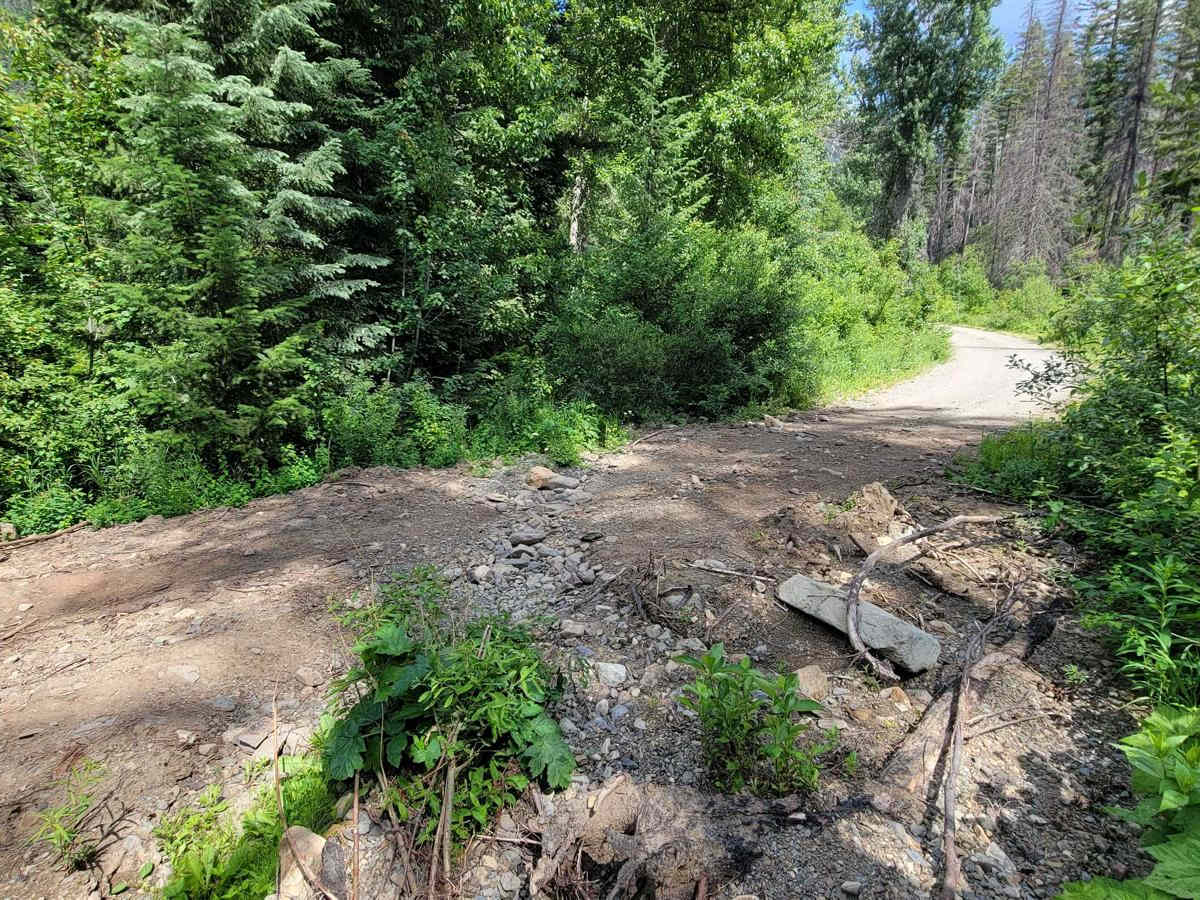 FR 4435 - Reynolds Road photo 3