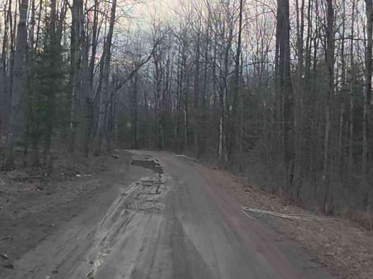 Deer Lake Trail photo 2