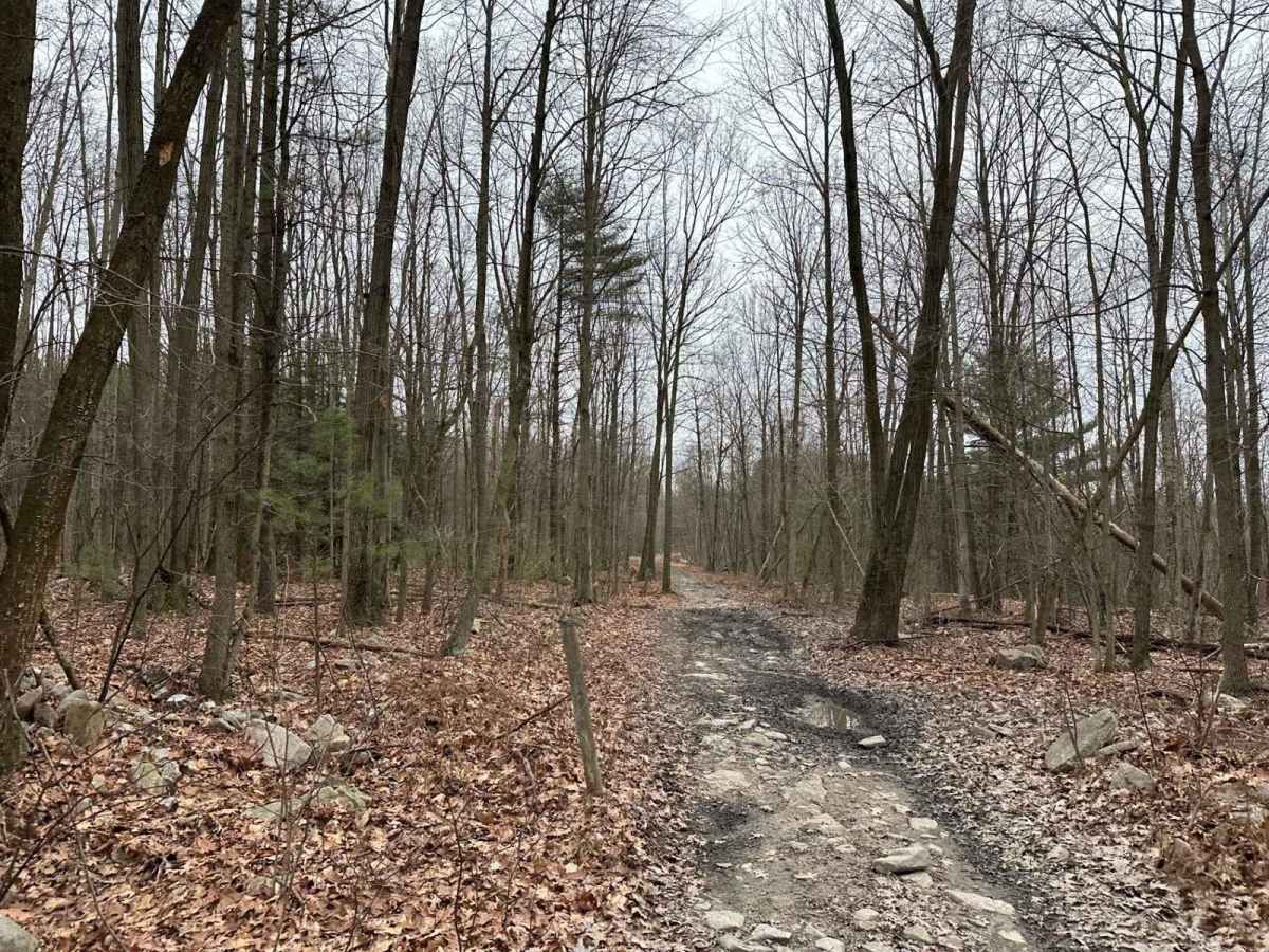Ashland 76 photo 2