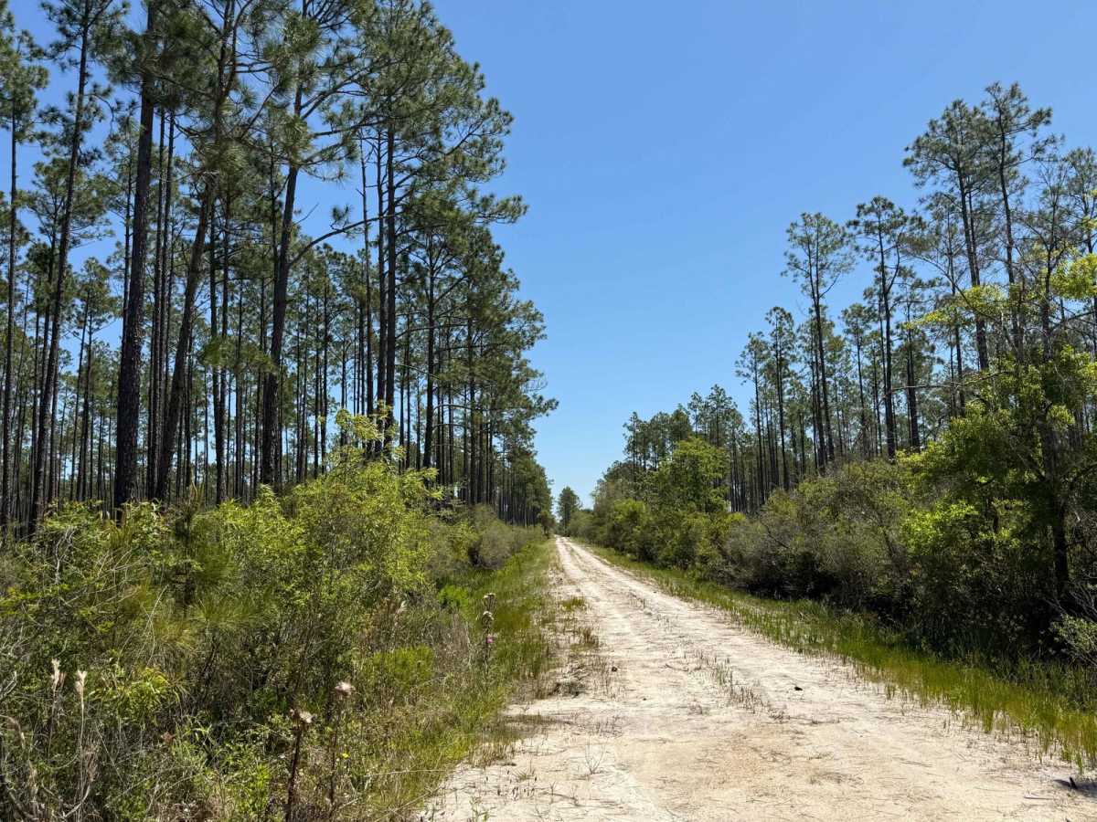 SFR 172 trail photo