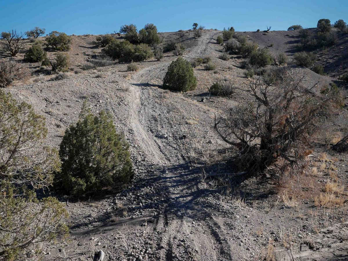 Ridge Trail photo 6