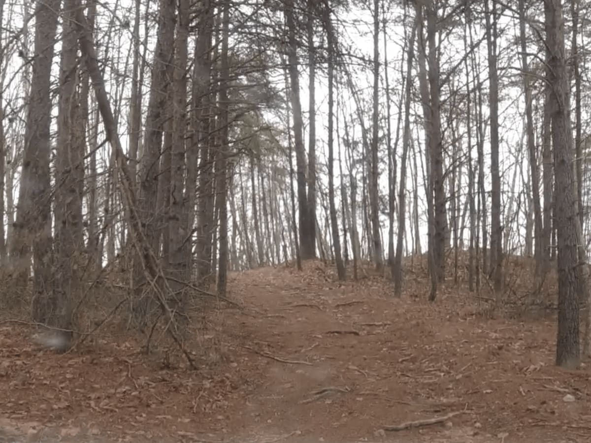Big Branch Hill trail photo