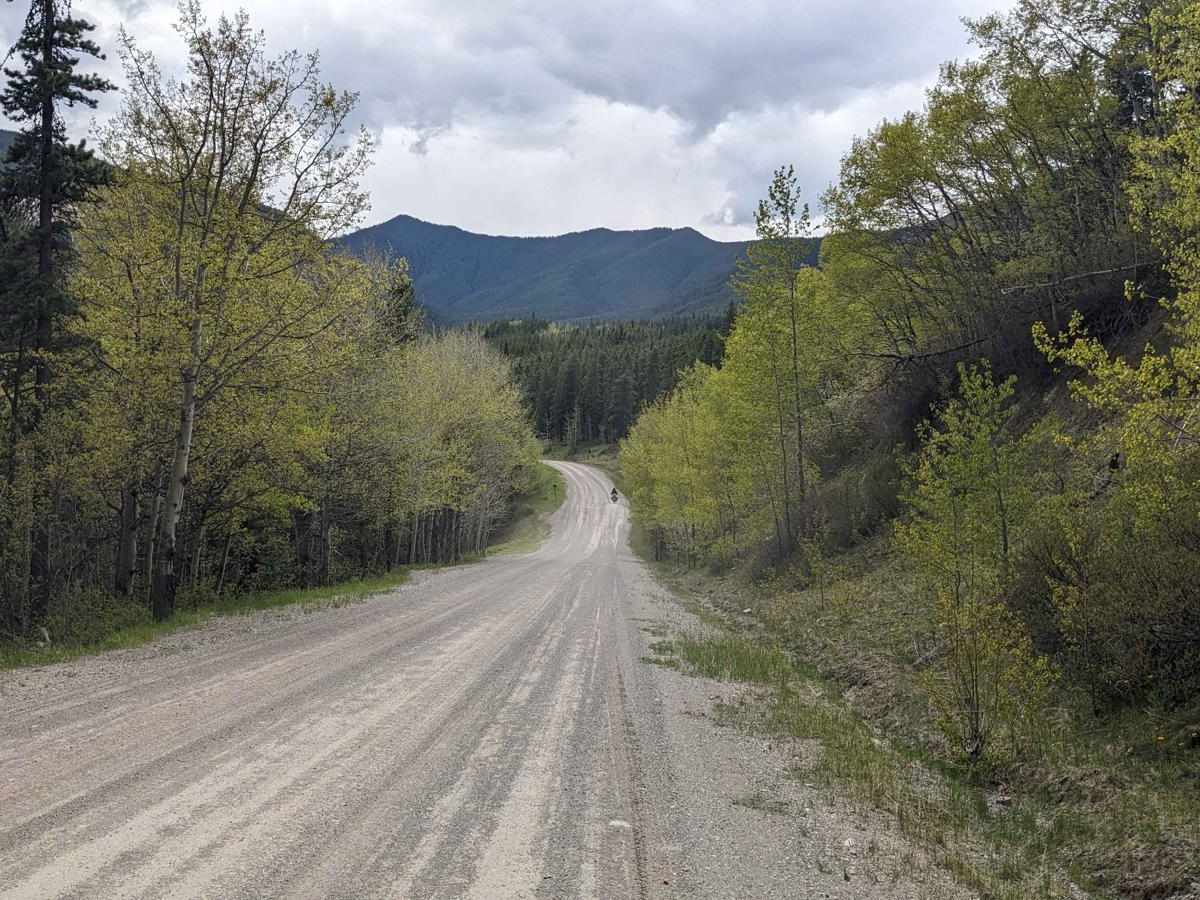 Butcher Lake Road photo 4
