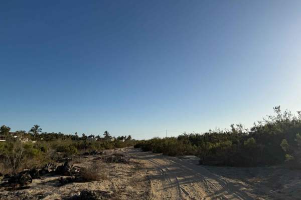 Whale Bone Road