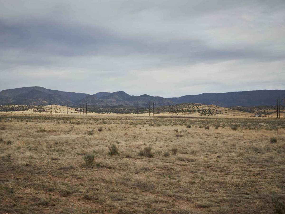 Pasture Blast photo 6