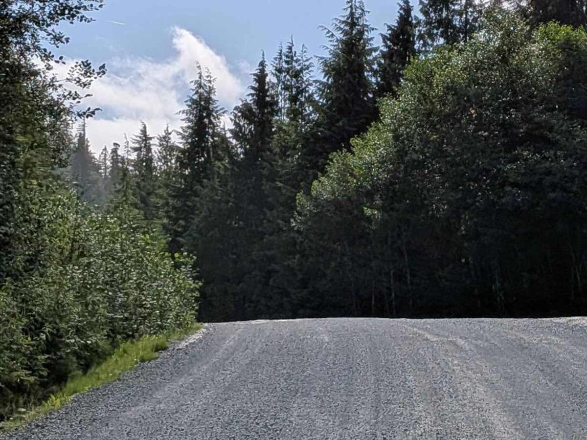 Holberg Main photo 5