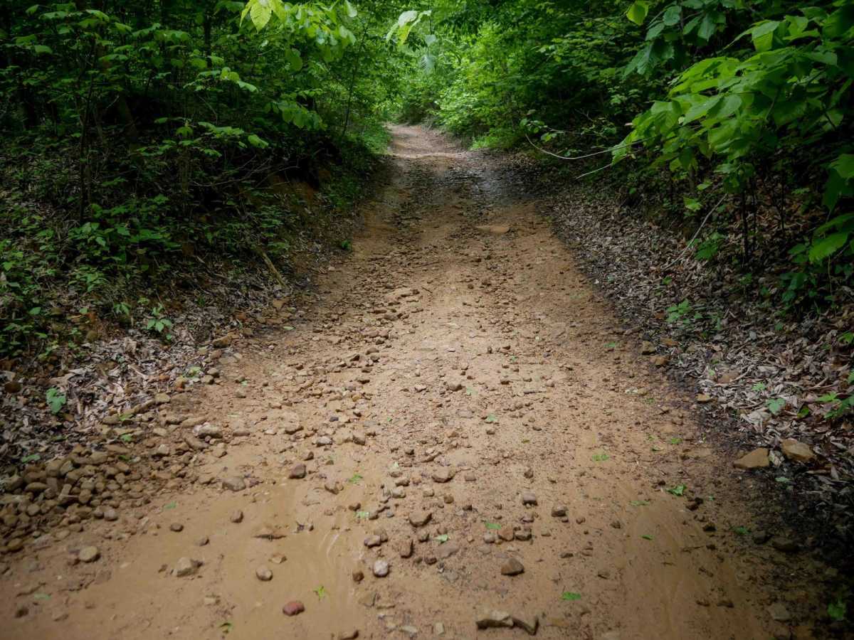 B37 trail photo
