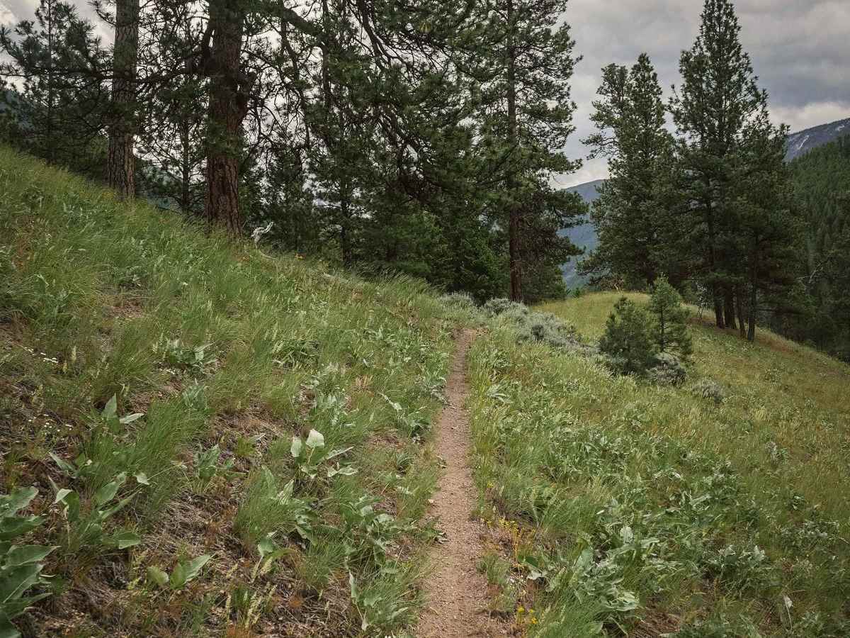 Powder Gulch photo 6